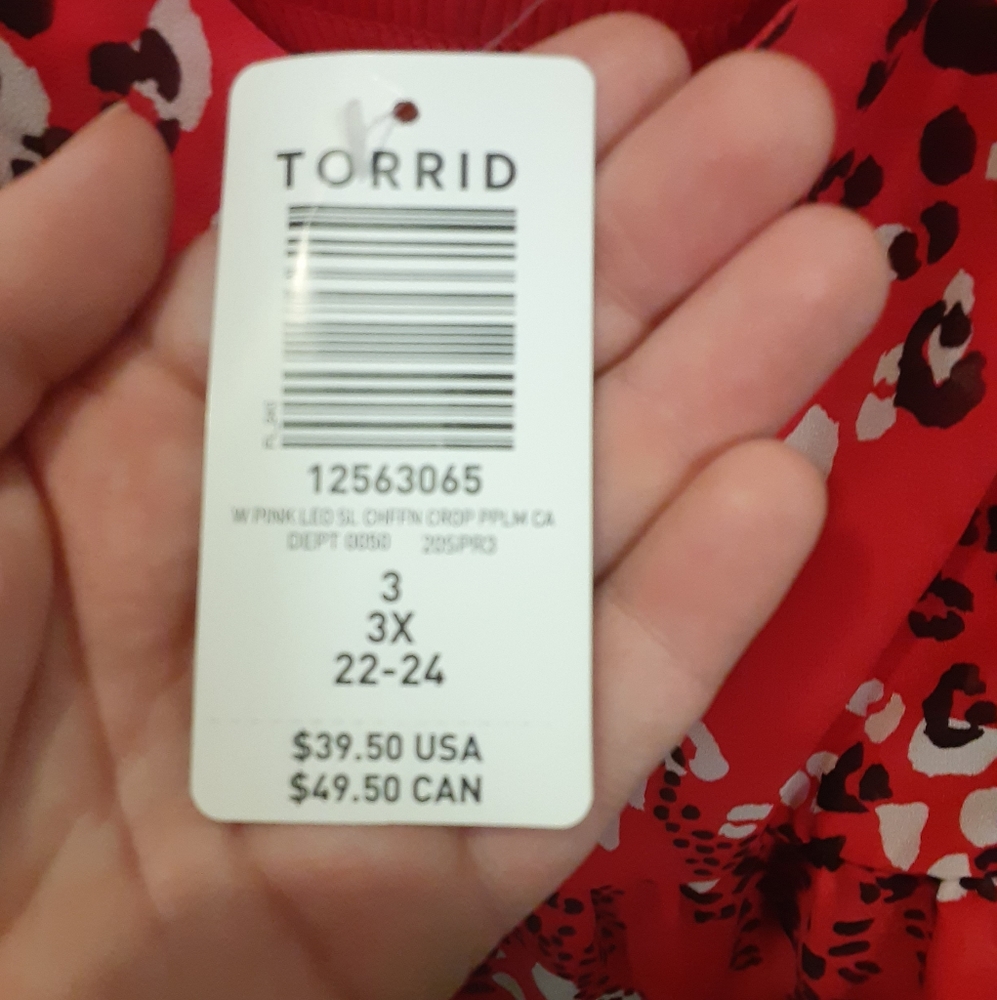 Torrid baby doll style top